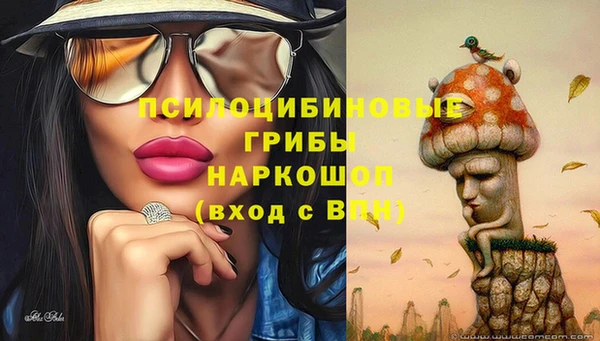MESCALINE Алзамай