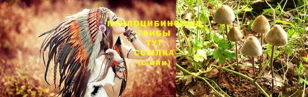 MESCALINE Алзамай